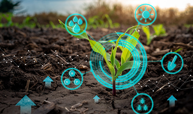 Agricoltura e Clima: L’Intelligenza Artificiale al Servizio della Sostenibilità